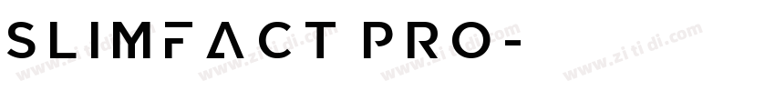 Slimfact Pro字体转换